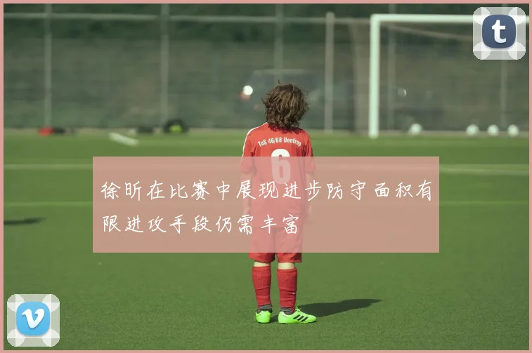 徐昕在比赛中展现进步防守面积有限进攻手段仍需丰富